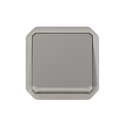 Interrupteur ou va-et-vient témoin étanche Plexo 10AX 250V IP55 IK08 avec enjoliveur gris 069512L
