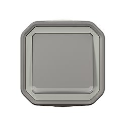 Interrupteur ou va-et-vient témoin étanche Plexo 10AX 250V IP55 IK08 gris 069712L