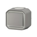 Interrupteur ou va-et-vient témoin étanche Plexo 10AX 250V IP55 IK08 gris 069712L