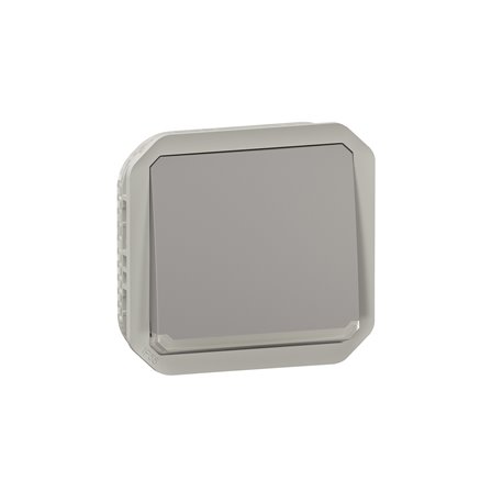 Poussoir inverseur NO-NF lumineux étanche Plexo 10A IP55 IK08 gris 069536L