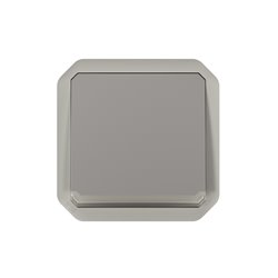 Poussoir inverseur NO-NF lumineux étanche Plexo 10A IP55 IK08 gris 069536L