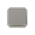 Poussoir inverseur NO-NF lumineux étanche Plexo 10A IP55 IK08 gris 069536L