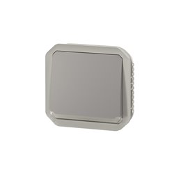 Poussoir inverseur NO-NF lumineux étanche Plexo 10A IP55 IK08 gris 069536L
