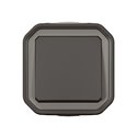 Poussoir NO étanche Plexo 10A IP55 IK08 anthracite 069790L
