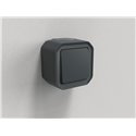 Poussoir NO étanche Plexo 10A IP55 IK08 anthracite 069790L
