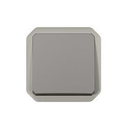 Poussoir NO étanche Plexo 10A IP55 IK08 gris 069540L