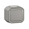 Poussoir NO étanche Plexo 10A IP55 IK08 gris 069720L