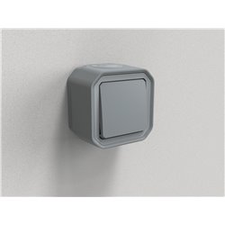 Poussoir NO étanche Plexo 10A IP55 IK08 gris 069720L