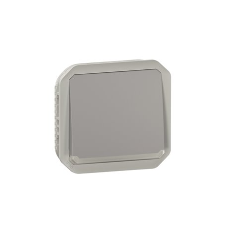 Poussoir NO lumineux étanche Plexo 10A IP55 IK08 enjoliveur gris 069542L Poussoir NO lumineux étanche Plexo 10A IP55 IK08 enjoliveur gris 069542L