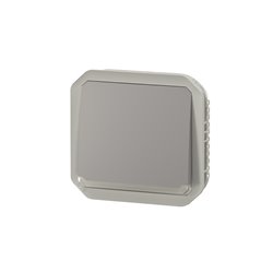 Poussoir NO lumineux étanche Plexo 10A IP55 IK08 enjoliveur gris 069542L