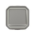 Poussoir NO lumineux étanche Plexo 10A IP55 IK08 gris 069722L
