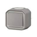 Poussoir NO lumineux étanche Plexo 10A IP55 IK08 gris 069722L
