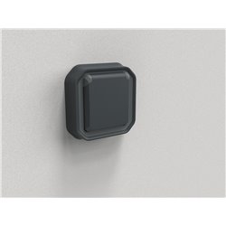 Prise de courant 2P+T étanche Plexo 16A 250V IP55 IK08 anthracite 069860L