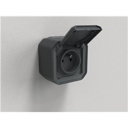Prise de courant 2P+T étanche Plexo 16A 250V IP55 IK08 anthracite en saillie 069791L