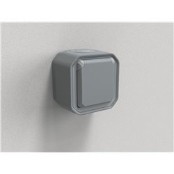 Prise de courant 2P+T étanche Plexo 16A 250V IP55 IK08 en saillie gris 069731L