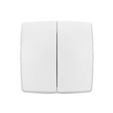 Transformeur double 5 en 1 interrupteur, va-et-vient ou poussoir double Saillie composable blanc bornes automatiques 086120L