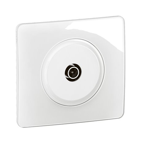 Lot de 12 Prises TV simple mâle Céliane avec plaque Blanc CG0382