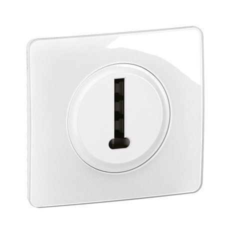 Lot de 12 Prises téléphone Céliane 8 contacts en T avec plaque Blanc CG0338 Lot de 12 Prises téléphone Céliane 8 contacts en T avec plaque Blanc CG0338