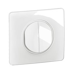 Lot de 12 Double interrupteurs ou va-et-vient 10A avec plaque Céliane Blanc CG2001