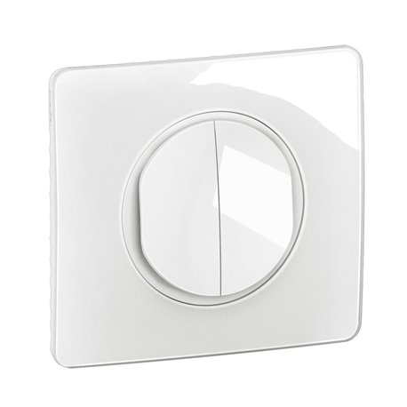 Lot de 12 Double interrupteurs ou va-et-vient 10A avec plaque Céliane Blanc CG2001