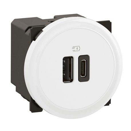 Lot de 12 Chargeurs double USB Céliane 15W Type-A + Type-C sans plaque Blanc CF0153