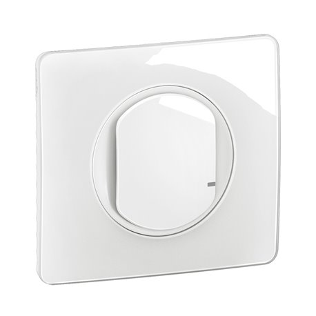 Lot de 12 Variateurs 2 fils sans Neutre Céliane toutes lampes dimmables avec plaque Blanc 125W CG0060 Lot de 12 Variateurs 2 fils sans Neutre Céliane toutes lampes dimmables avec plaque Blanc 125W CG0060