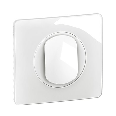 Lot de 12 Poussoirs 6A Céliane avec plaque Blanc CG0031
