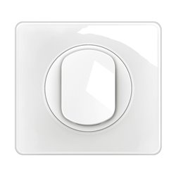 Lot de 12 Poussoirs 6A Céliane avec plaque Blanc CG0031