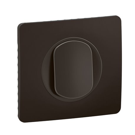 Lot de 12 Poussoirs 6A Céliane avec plaque Noir CJ0031