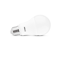Ampoule LED E27 13W 1521 Lm Blanc chaud 100609