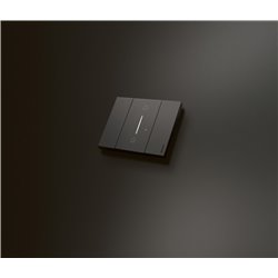 Plaque de finition Living Now Collection Les Noirs 2 modules Noir BTKA4802KG