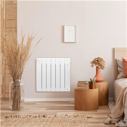 Radiateur fluide caloporteur Bilbao 4 Horizontal 750 Watts Gris Ardoise