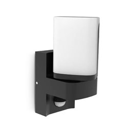 Applique murale extérieur LED, 7,5W 380 Lm Blanc chaud ELOUAN 100945 avec détecteur IR
