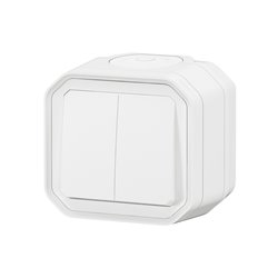 Commande double interrupteur ou poussoir Plexo IP55 IK08 blanc 069755L