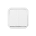 Commande double interrupteur ou poussoir Plexo composable blanc 069625L