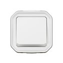 Poussoir NO lumineux Plexo complet saillie blanc 069762L