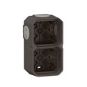 Boîtier saillie à embouts 2 postes horizontaux et verticaux Plexo anthracite 069602L