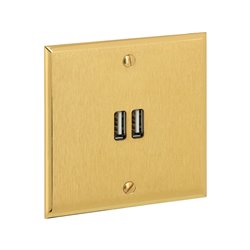 Double prise USB type A 3A or brossé Art d'Arnould univers Mémoire 67222