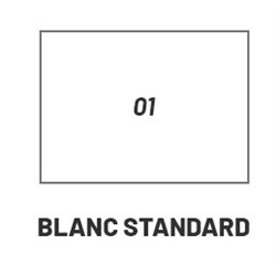 Sèche serviette eau chaude Rigo, 967 Watts Blanc Standard RIP152B01IR01NNN-01-ST-DESTOCK