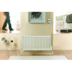 Radiateur fluide caloporteur Epok Horizontal 500 Watts