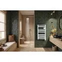 Ezybain nativ - Radiateur sèche-serviettes 500 W largeur 500 blanc