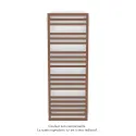 Kadrane Spa EC, Terracotta, 694W, H 1507 mm / L 550 mm, robinet couleur