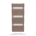 Altai Spa EC, Terracotta Faded 0299, 586W, H 1188 mm / L 500 mm
