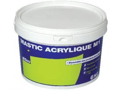 Mastic Cartouche 310 mL acrylique
