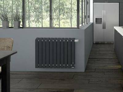Mythik 460132 Thermor Horizontal 1000 Watts Blanc Granit