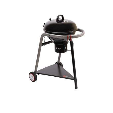 Barbecue charbon