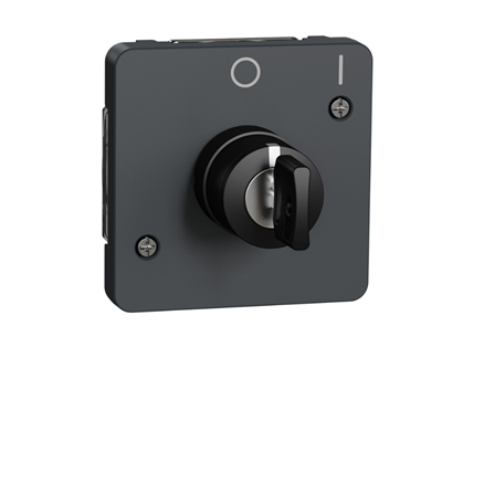 Interrupteur Schneider Mureva Styl