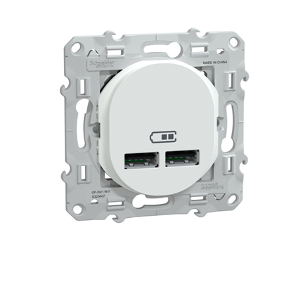 Chargeur USB Schneider Ovalis