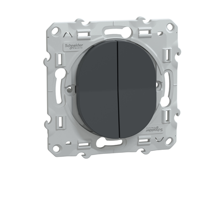 Va-et-vient Schneider Ovalis