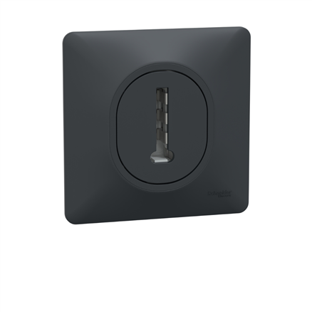 Prise téléphone Schneider Ovalis